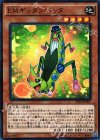  ST16-JP007 P-N EMギッタンバッタ 