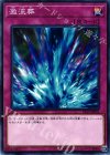  ST17-JP035 N 激流葬 