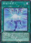 SUB1-JP004 SR 最後の希望