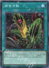 SUB1-JP040 P-N 捕食活動