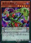  TDIL-JP009 SR 曲芸の魔術師 