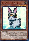  TRC1-JP020 SR レスキューラビット 