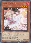  TT02-JPA09 N 灰流うらら 