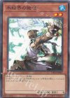  TW01-JP007 P-N 氷結界の術者 