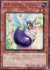  VE04-JP001 UR ナチュル・エッグプラント 