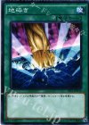 VS15-JPD16 P-N 地砕き