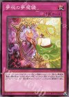  WPP1-JP028 N 夢現の夢魔鏡 