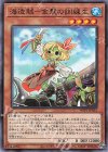  WPP1-JP033 N 海造賊-金髪の訓練生 