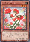  WPP1-JP055 R バラガール 