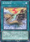  WPP1-JP075 N 龍馬躓図 