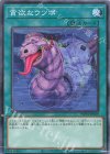 WPP4-JP059 N 貪欲なウツボ