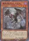 WPP6-JP050 N 腐死鳥ヴァルコプス