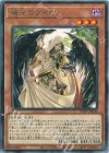 WPP7-JP040 R 暁光のブイオ