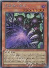  YAC1-JP018 SE 闇魔導の覇王 