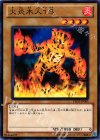 YSD5-JP005 N 火炎木人18