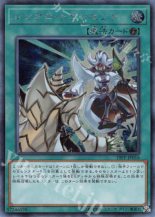 SE シンクロ・トランセンド | 買取 | [19PP] PREMIUM PACK 2019 | 遊戯王 OCG