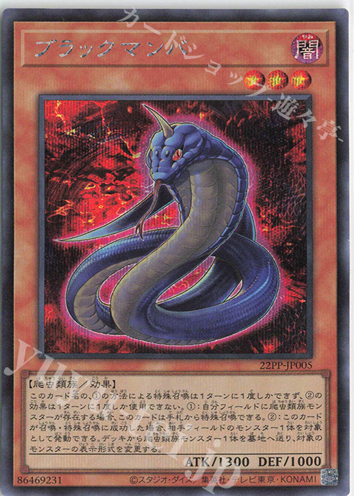 SE ブラックマンバ | 買取 | [22PP] PREMIUM PACK 2022 | 遊戯王 OCG