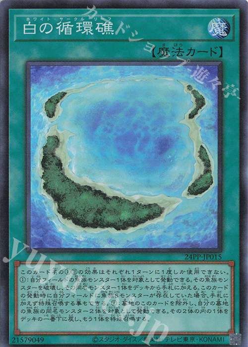 【傷】 SR 白の循環礁 | 販売 | [24PP] PREMIUM PACK 2024 | 遊戯王 OCG
