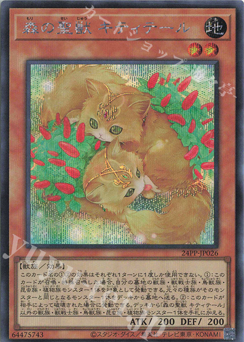【傷】 SE 森の聖獣 キティテール | 販売 | [24PP] PREMIUM PACK 2024 | 遊戯王 OCG