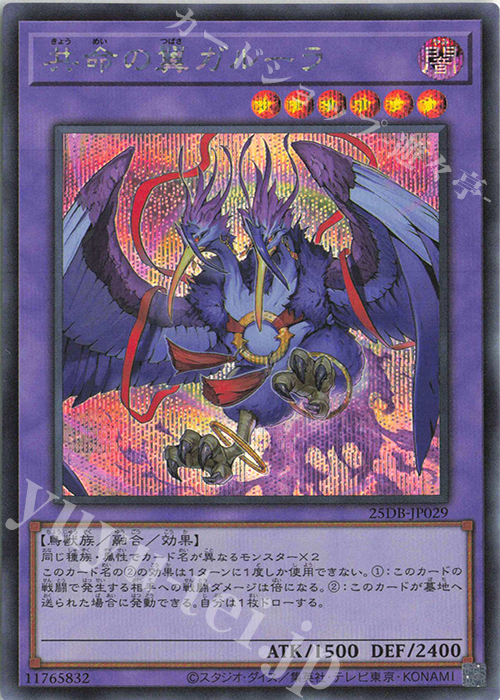 SE 共命の翼ガルーラ | 販売 | [25DB] DUELIST BOX -PRISMATIC SUMMON- | 遊戯王 OCG