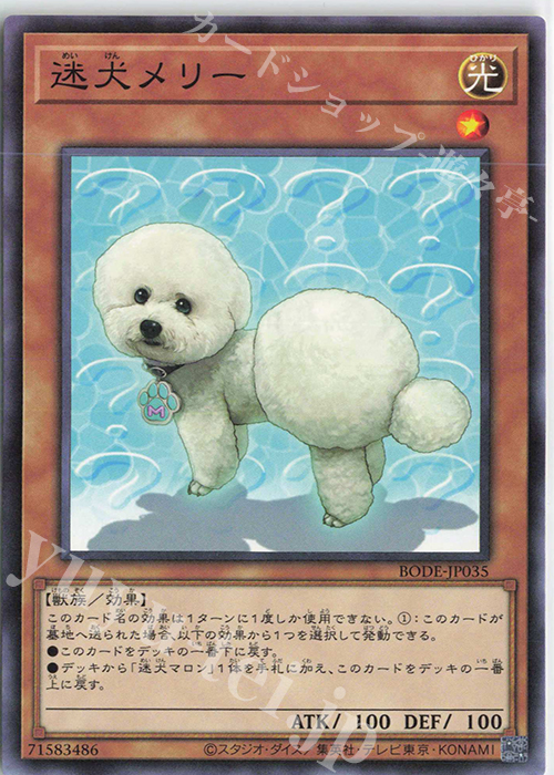 【傷】 NR 迷犬メリー | 販売 | [BODE] BURST OF DESTINY | 遊戯王 OCG