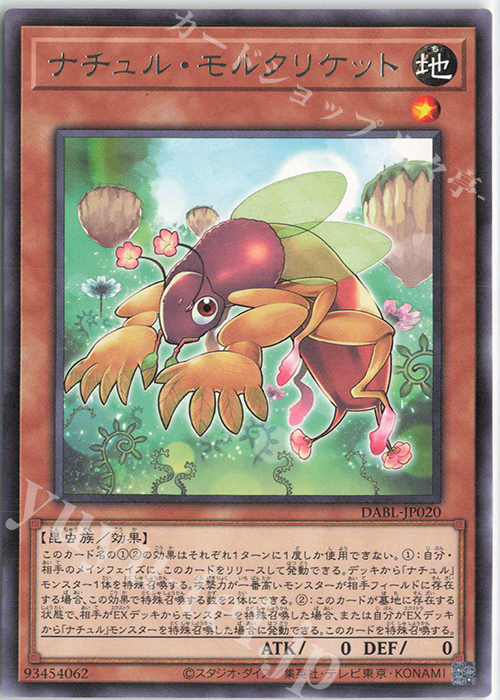 R ナチュル・モルクリケット | 販売 | [DABL] DARKWING BLAST | 遊戯王 OCG