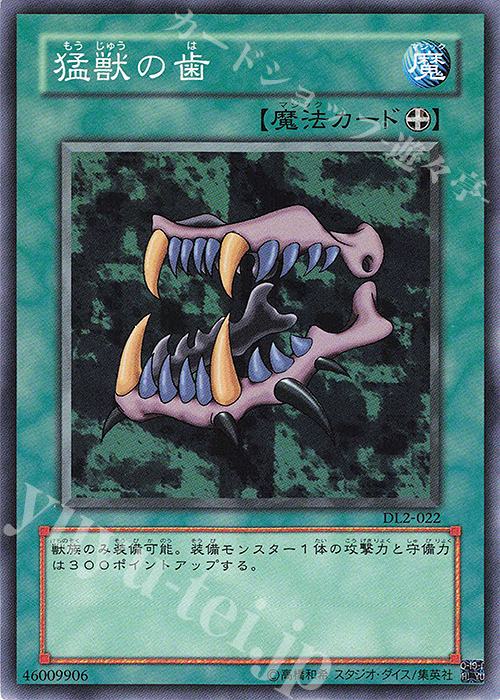 N 猛獣の歯 | 販売 | [DL2] DUELIST LEGACY Volume.2 | 遊戯王 OCG