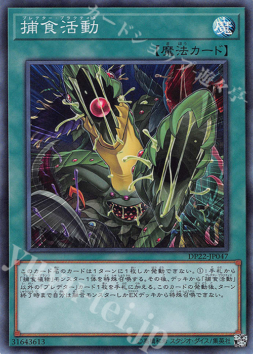 【傷】 SR 捕食活動 | 販売 | [DP22] デュエリストパック -レジェンドデュエリスト編5- | 遊戯王 OCG