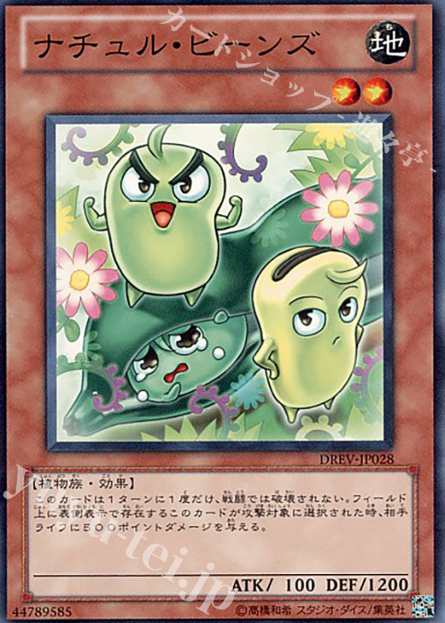 N ナチュル・ビーンズ | 買取 | [DREV] DUELIST REVOLUTION | 遊戯王 OCG