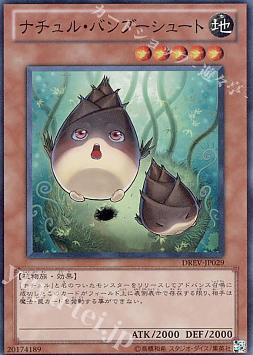 SR ナチュル・バンブーシュート | 買取 | [DREV] DUELIST REVOLUTION | 遊戯王 OCG