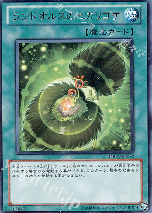 R ランドオルスのヒカリゴケ | 買取 | [DREV] DUELIST REVOLUTION | 遊戯王 OCG