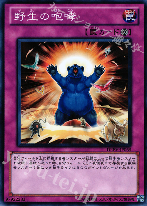 N 野生の咆哮 | 販売 | [DREV] DUELIST REVOLUTION | 遊戯王 OCG