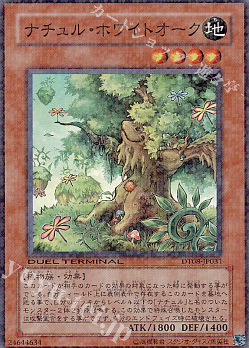 【傷】 SR ナチュル・ホワイトオーク | 販売 | [DT08] トリシューラの鼓動！！ | 遊戯王 OCG
