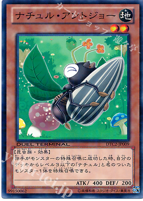 N ナチュル・アントジョー | 買取 | [DTC2] クロニクルII 混沌の章 | 遊戯王 OCG