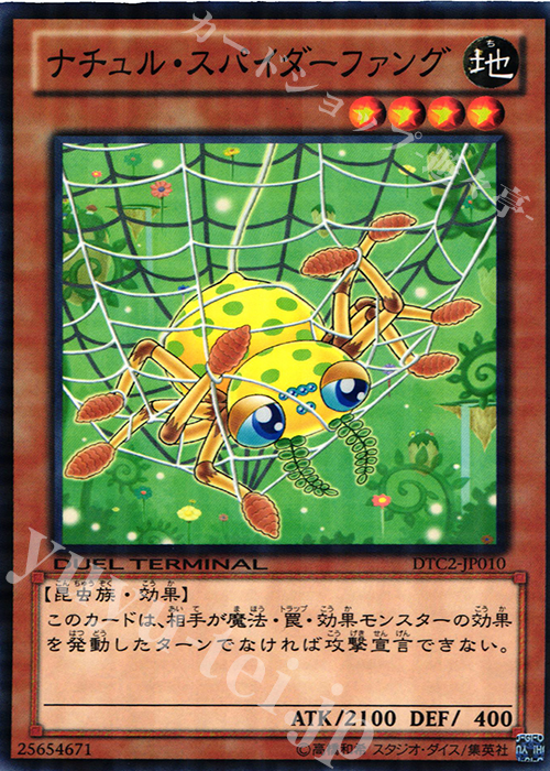 N ナチュル・スパイダーファング | 買取 | [DTC2] クロニクルII 混沌の章 | 遊戯王 OCG