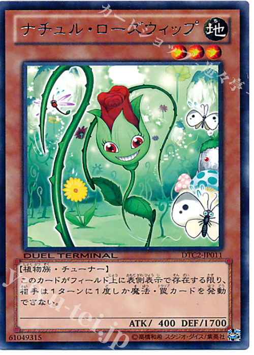 R ナチュル・ローズウィップ | 買取 | [DTC2] クロニクルII 混沌の章 | 遊戯王 OCG