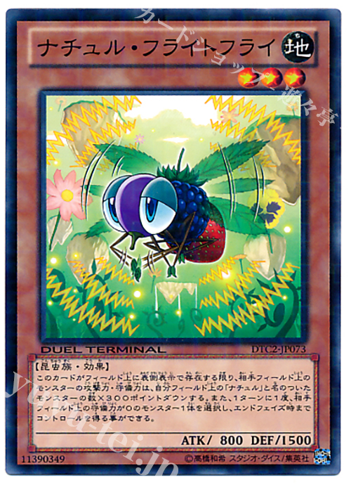 N ナチュル・フライトフライ | 買取 | [DTC2] クロニクルII 混沌の章 | 遊戯王 OCG