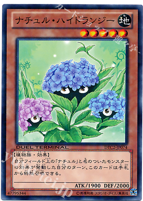 N ナチュル・ハイドランジー | 買取 | [DTC2] クロニクルII 混沌の章 | 遊戯王 OCG