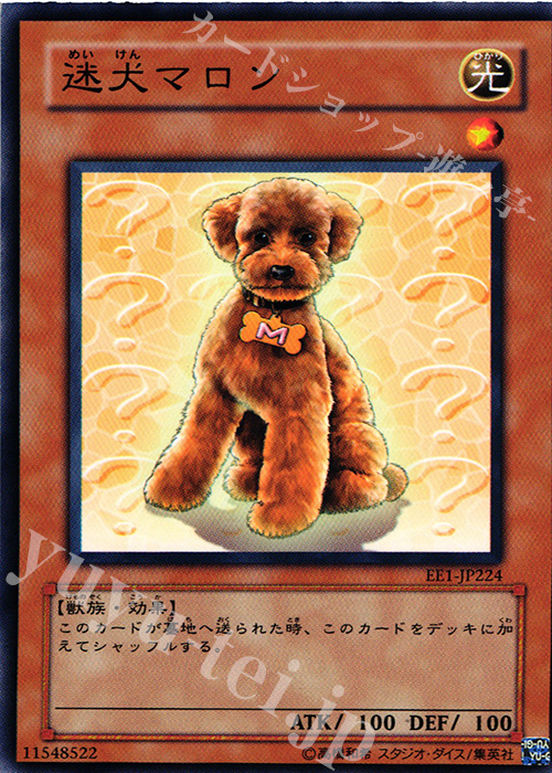 N 迷犬マロン | 販売 | [EE1] EXPERT EDITION Volume 1 | 遊戯王 OCG