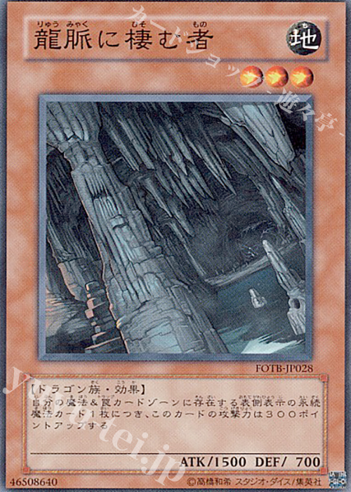 N 龍脈に棲む者 | 買取 | [FOTB] FORCE OF THE BREAKER | 遊戯王 OCG
