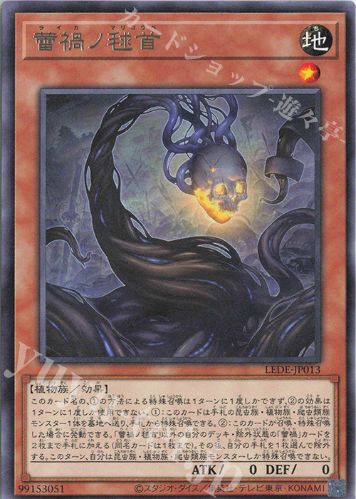 R 蕾禍ノ毬首 | 販売 | [LEDE] LEGACY OF DESTRUCTION | 遊戯王 OCG