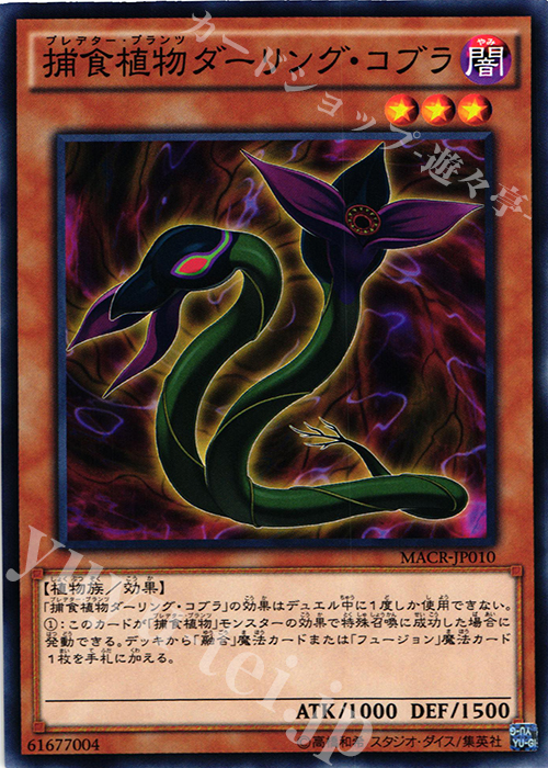 【傷】 N 捕食植物ダーリング・コブラ | 販売 | [MACR] マキシマム・クライシス | 遊戯王 OCG
