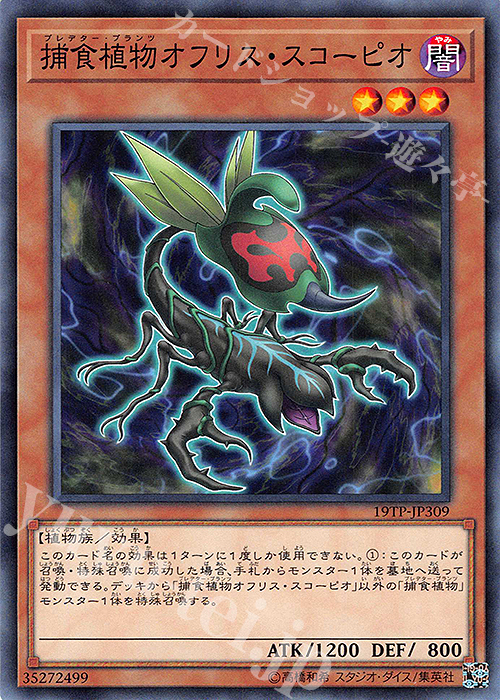 N 捕食植物オフリス・スコーピオ | 販売 | 大会関連カード | 遊戯王 OCG