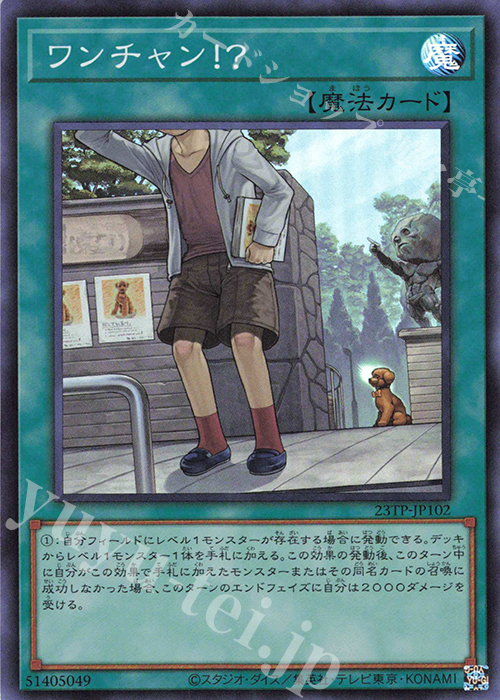 SR ワンチャン！？ | 販売 | 大会関連カード | 遊戯王 OCG