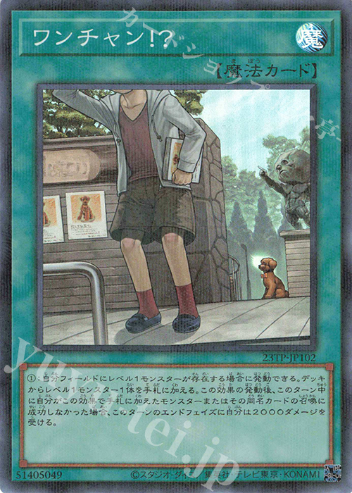 P-SR ワンチャン！？ | 販売 | 大会関連カード | 遊戯王 OCG
