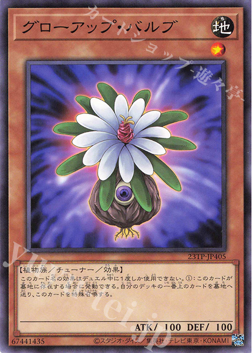 N グローアップ・バルブ | 販売 | 大会関連カード | 遊戯王 OCG