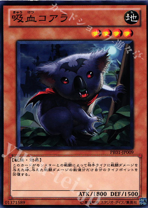 N 吸血コアラ | 販売 | その他プロモーションカード | 遊戯王 OCG
