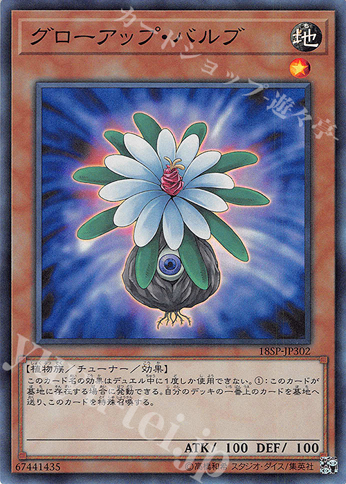 SR グローアップ・バルブ | 販売 | その他プロモーションカード | 遊戯王 OCG