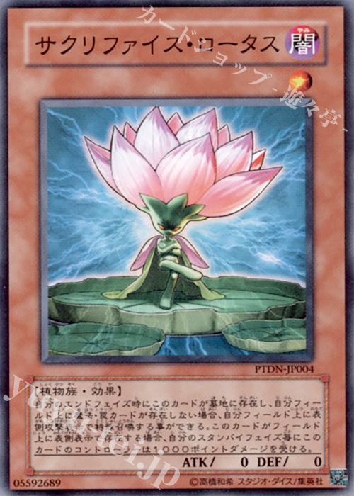N サクリファイス・ロータス | 販売 | [PTDN] PHANTOM DARKNESS | 遊戯王 OCG