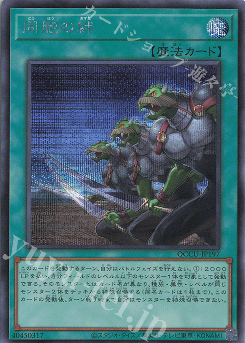 【傷】 SE 同胞の絆 | 販売 | [QCCU] QUARTER CENTURY CHRONICLE side:UNITY | 遊戯王 OCG